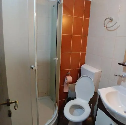 Guest house Casa Servus Navodari