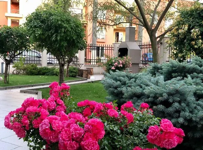 Guest house Casa Servus 4*