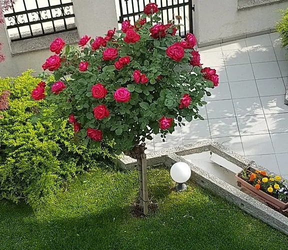 Casa Servus Guest house