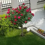 Casa Servus Guest house