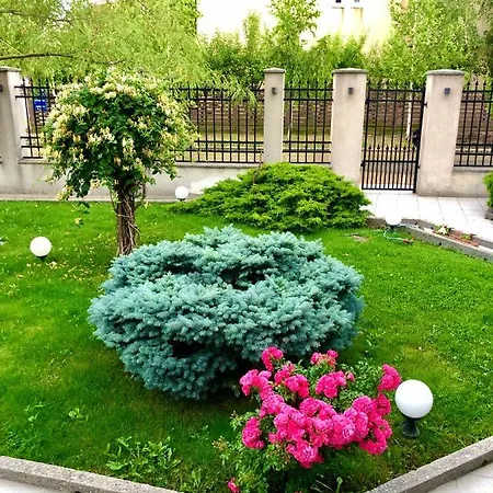 Casa Servus Casa de hóspedes Năvodari