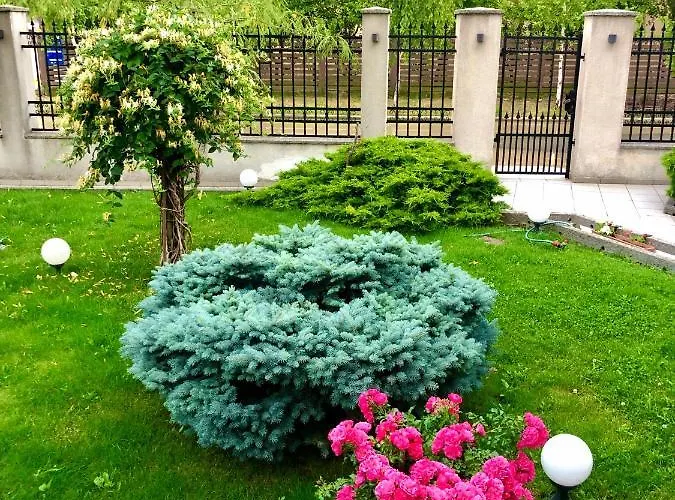 Casa Servus Casa de hóspedes Năvodari